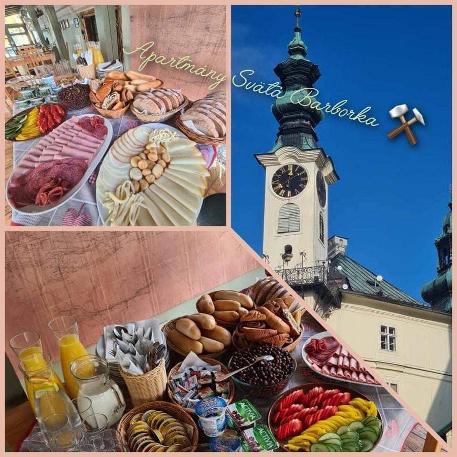 Apartmany Svaeta Barborka Banská Štiavnica Екстериор снимка